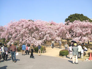 �K�c��������