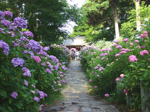 ���_�R �{����