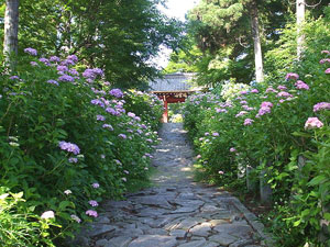 ���_�R �{����